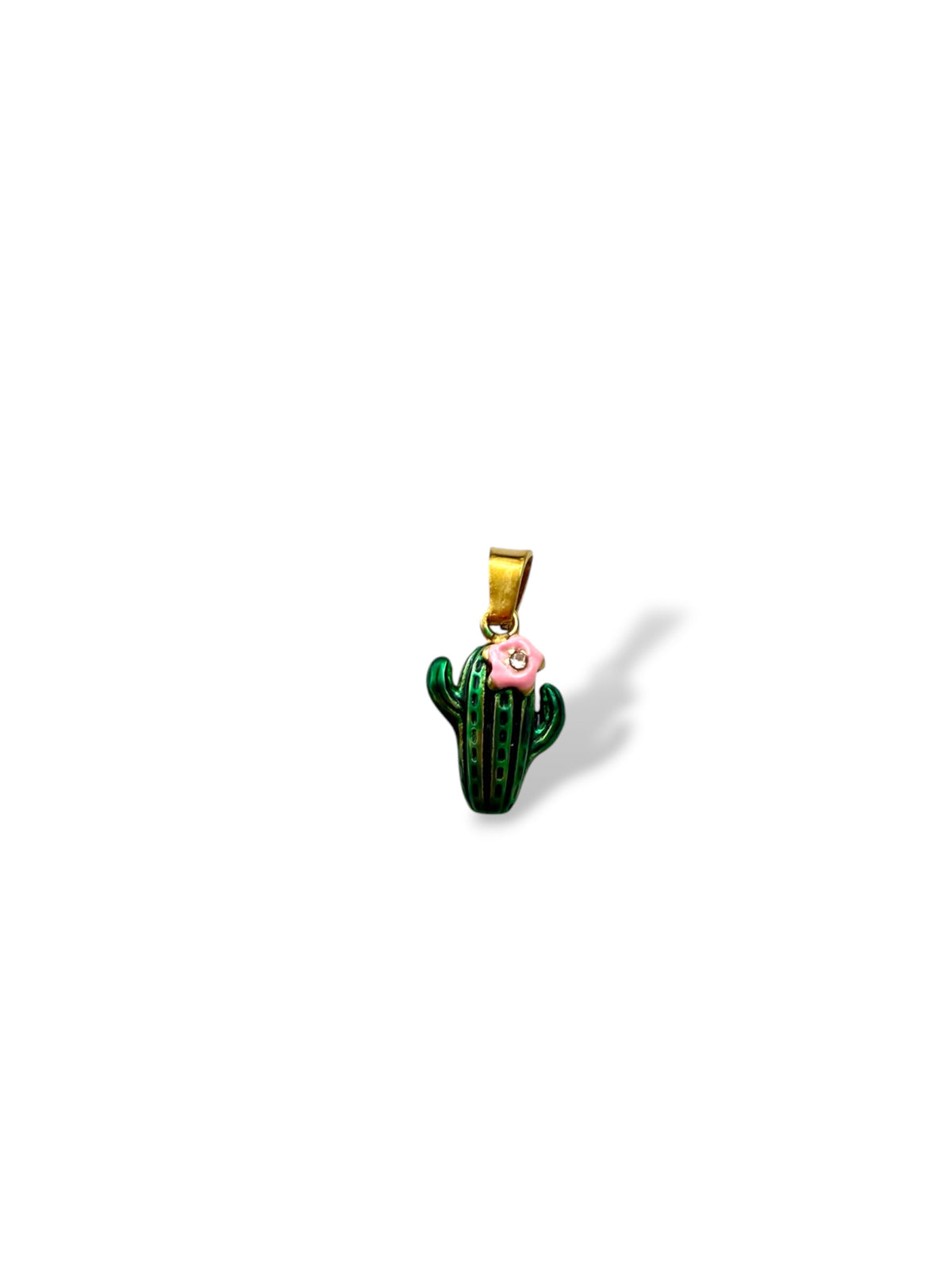 CHARM CACTUS