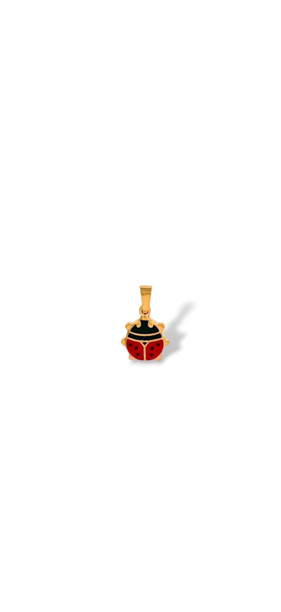 CHARM COCCINELLA