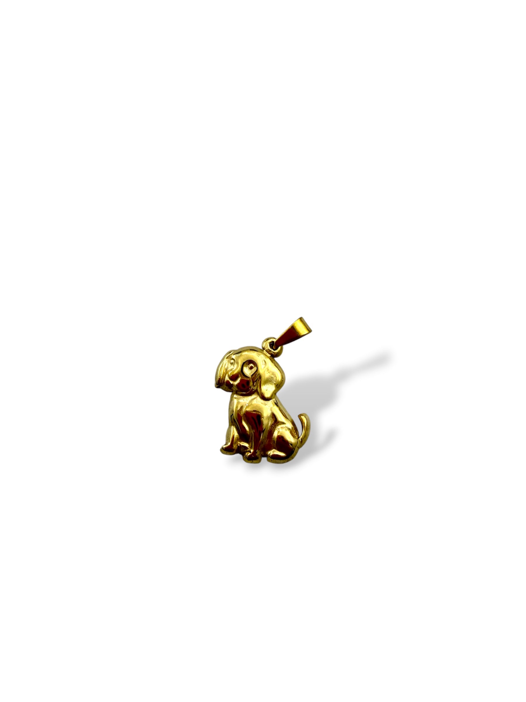 CHARM CAGNOLINO
